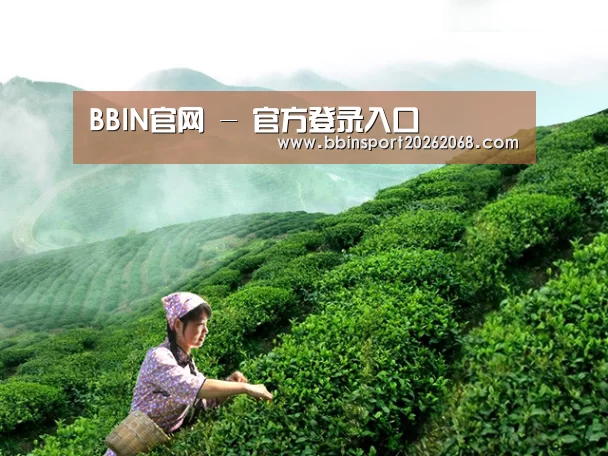 BBIN官网 - 官方登录入口