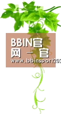 BBIN官网 - 官方登录入口