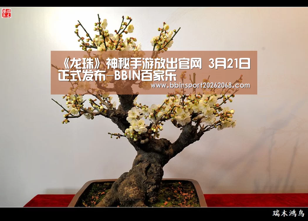 BBIN百家乐