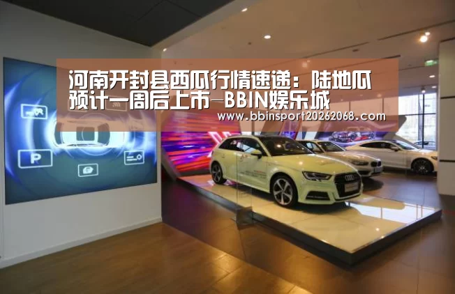 BBIN直播