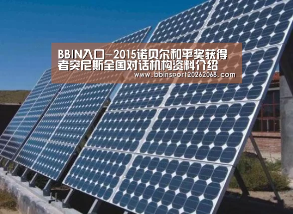 BBIN入口-2015诺贝尔和平奖获得者突尼斯全国对话机构资料介绍(图4) BBIN入口