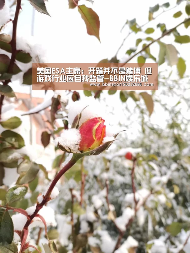 BBIN百家乐