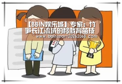 BBIN娱乐城