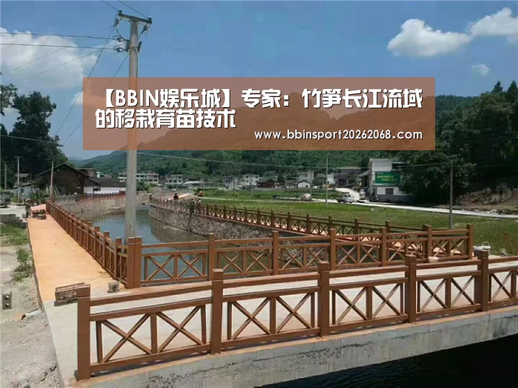 BBIN娱乐城