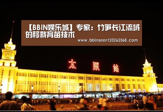 BBIN入口