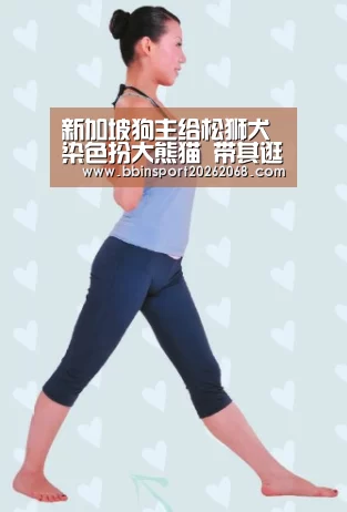 新加坡狗主给松狮犬染色扮大熊猫 带其逛街(图)_BBIN入口(图1) BBIN娱乐城