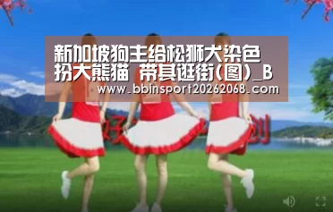 新加坡狗主给松狮犬染色扮大熊猫 带其逛街(图)_BBIN入口(图3) BBIN直播