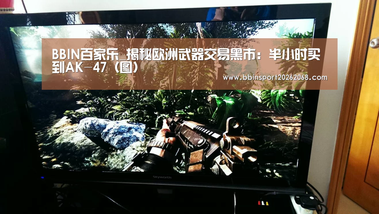 BBIN百家乐_揭秘欧洲武器交易黑市:半小时买到AK-47(图)(图2) BBIN入口