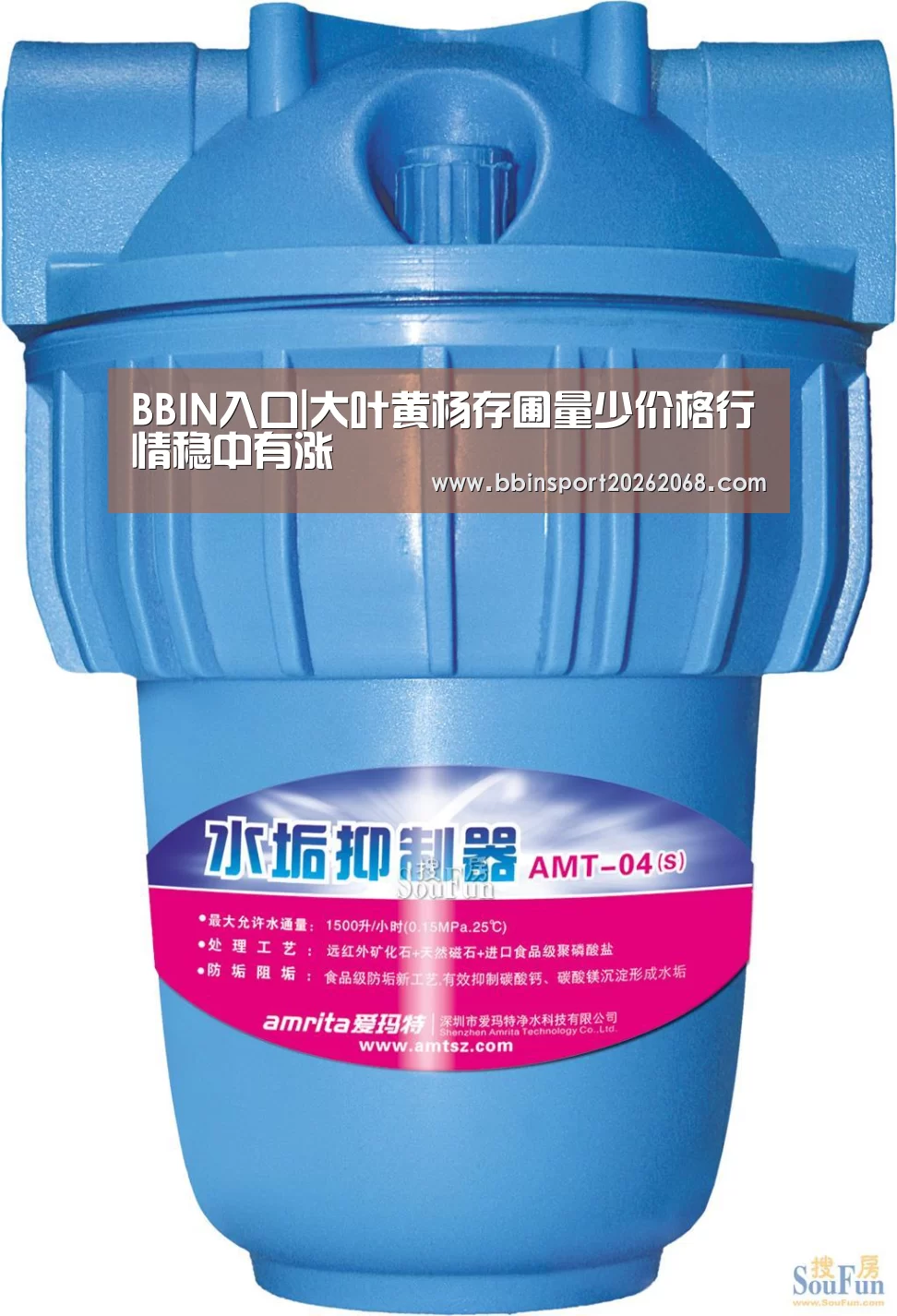 BBIN入口|大叶黄杨存圃量少价格行情稳中有涨(图1) BBIN百家乐