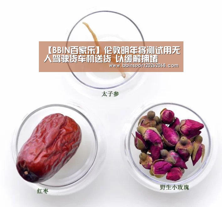 【BBIN百家乐】伦敦明年将测试用无人驾驶货车机送货 以缓解拥堵(图2) BBIN直播